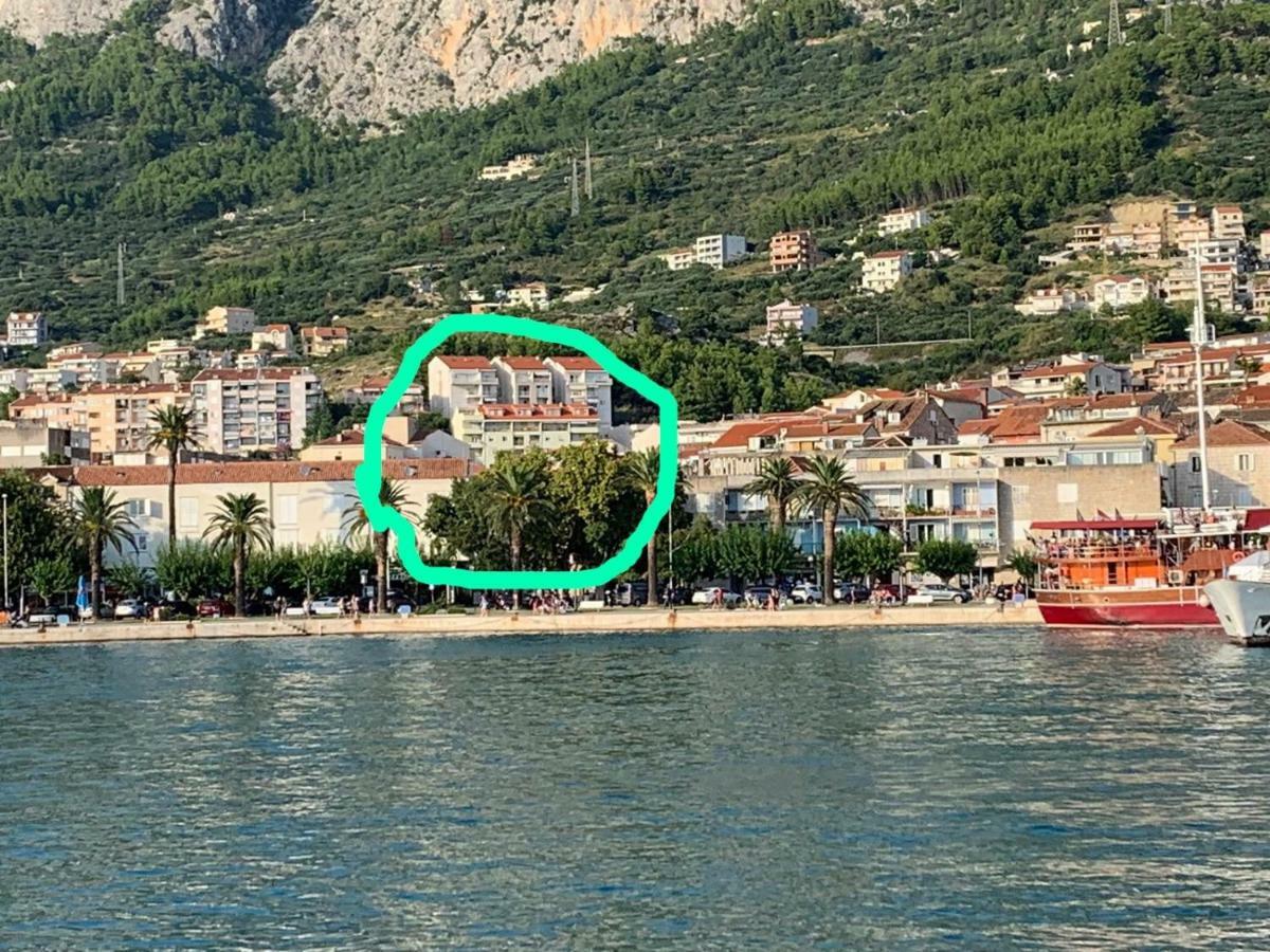 Marijeta Makarska